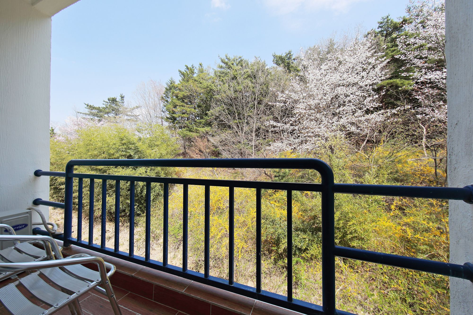 Benikea Swiss Rosen Hotel