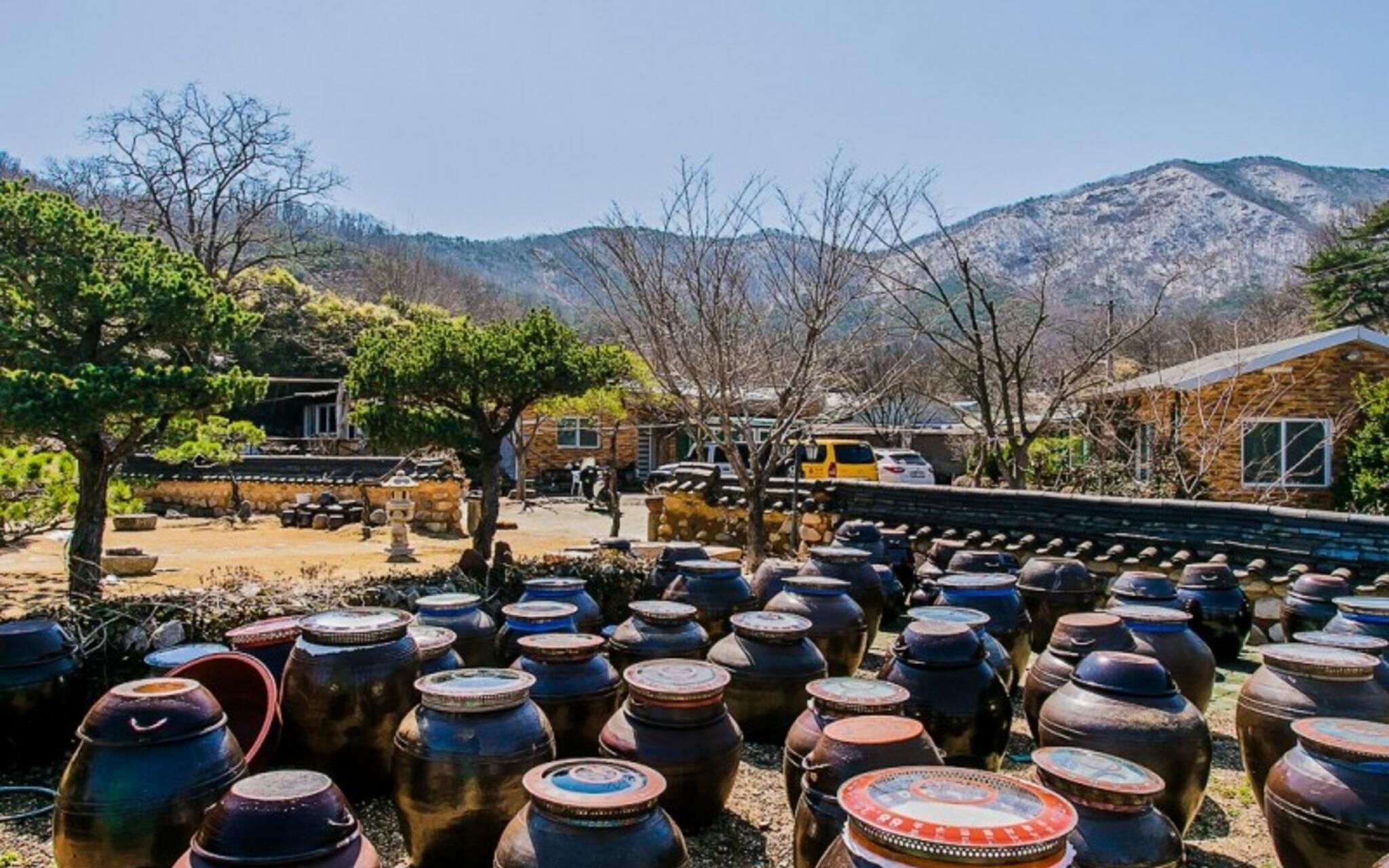 Byeokdosan Hwangtobonga Pension