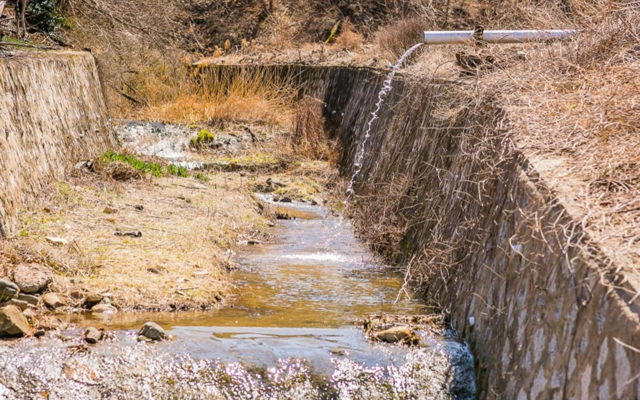 Byeokdosan Hwangtobonga Pension