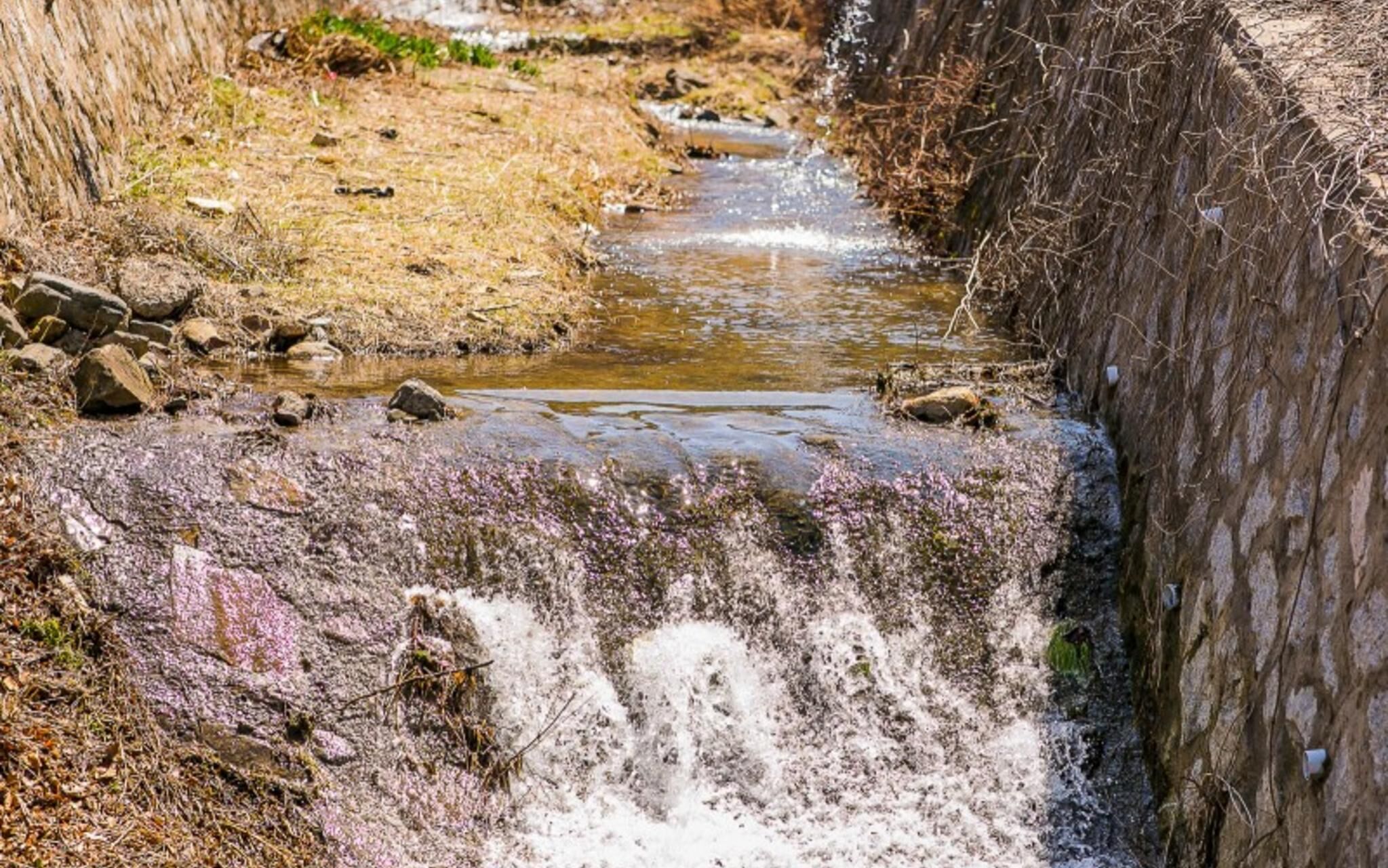 Byeokdosan Hwangtobonga Pension
