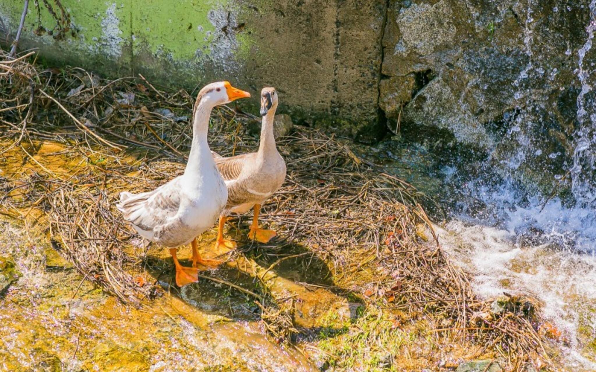 Byeokdosan Hwangtobonga Pension