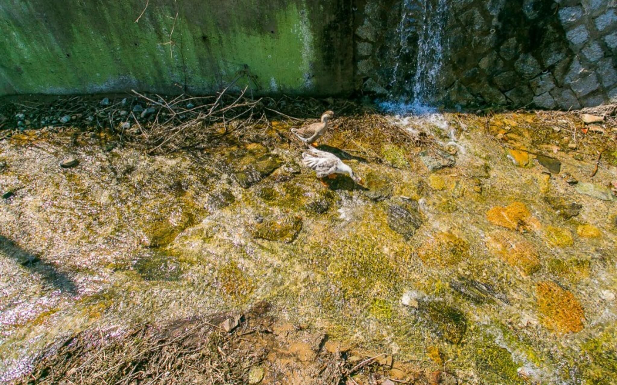 Byeokdosan Hwangtobonga Pension