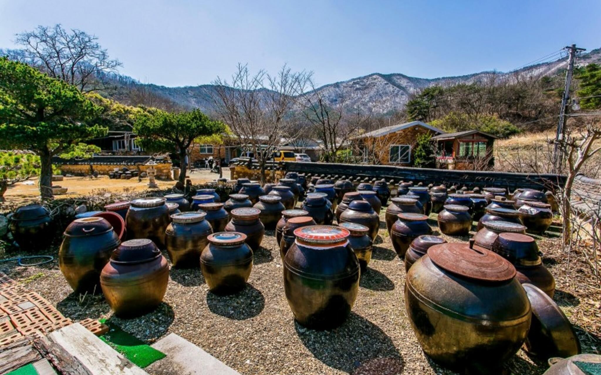 Byeokdosan Hwangtobonga Pension