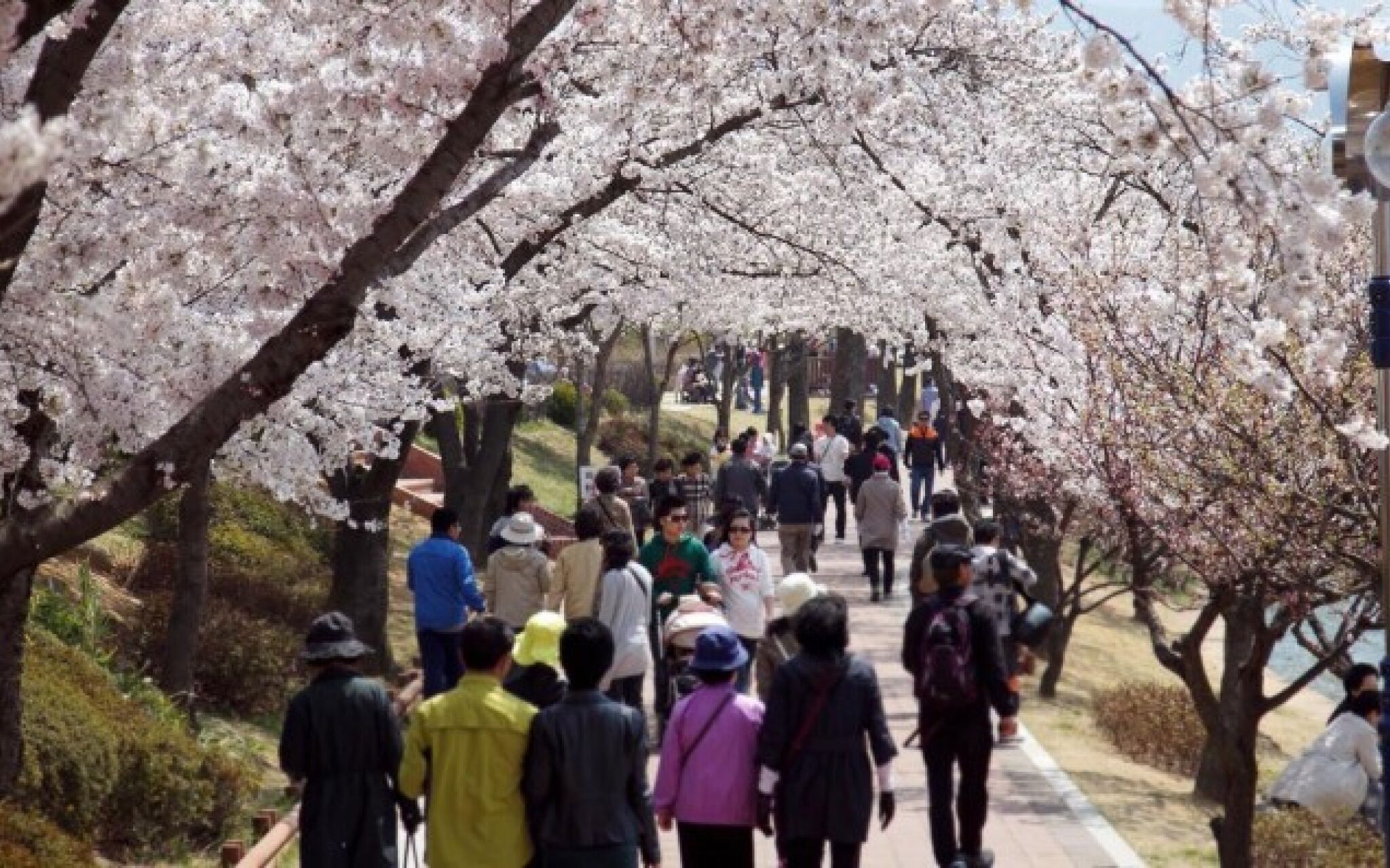 Gyeongju Bonjour Pension