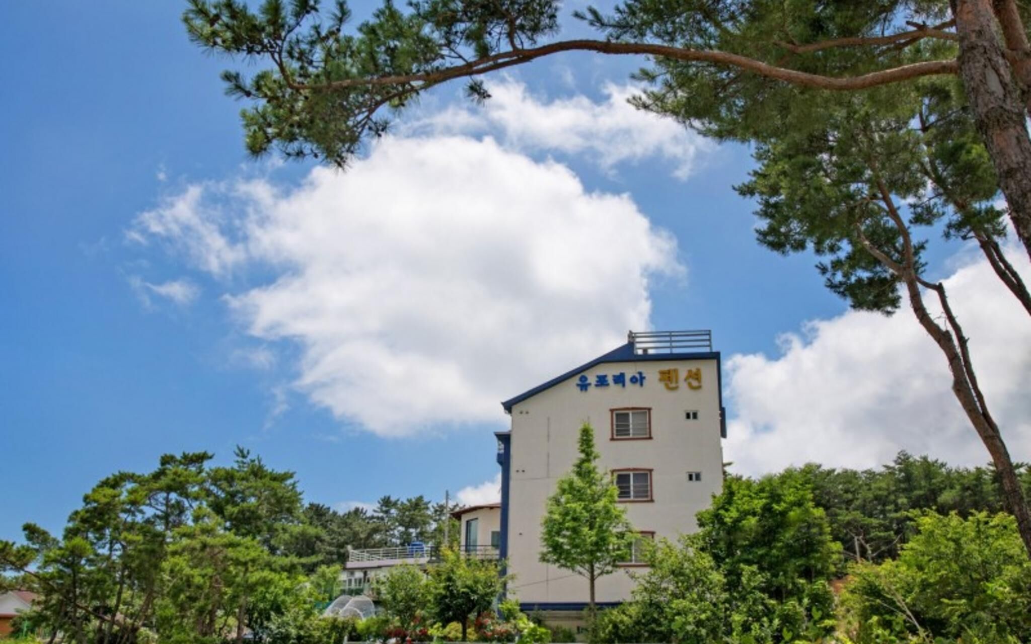 Gyeongju Euphoria Pension