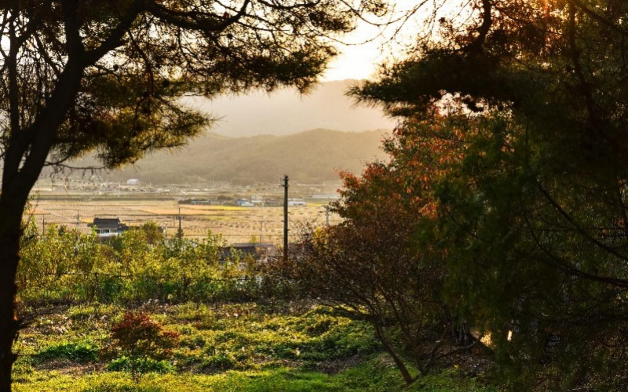 Gyeongju Hay Day House Pension