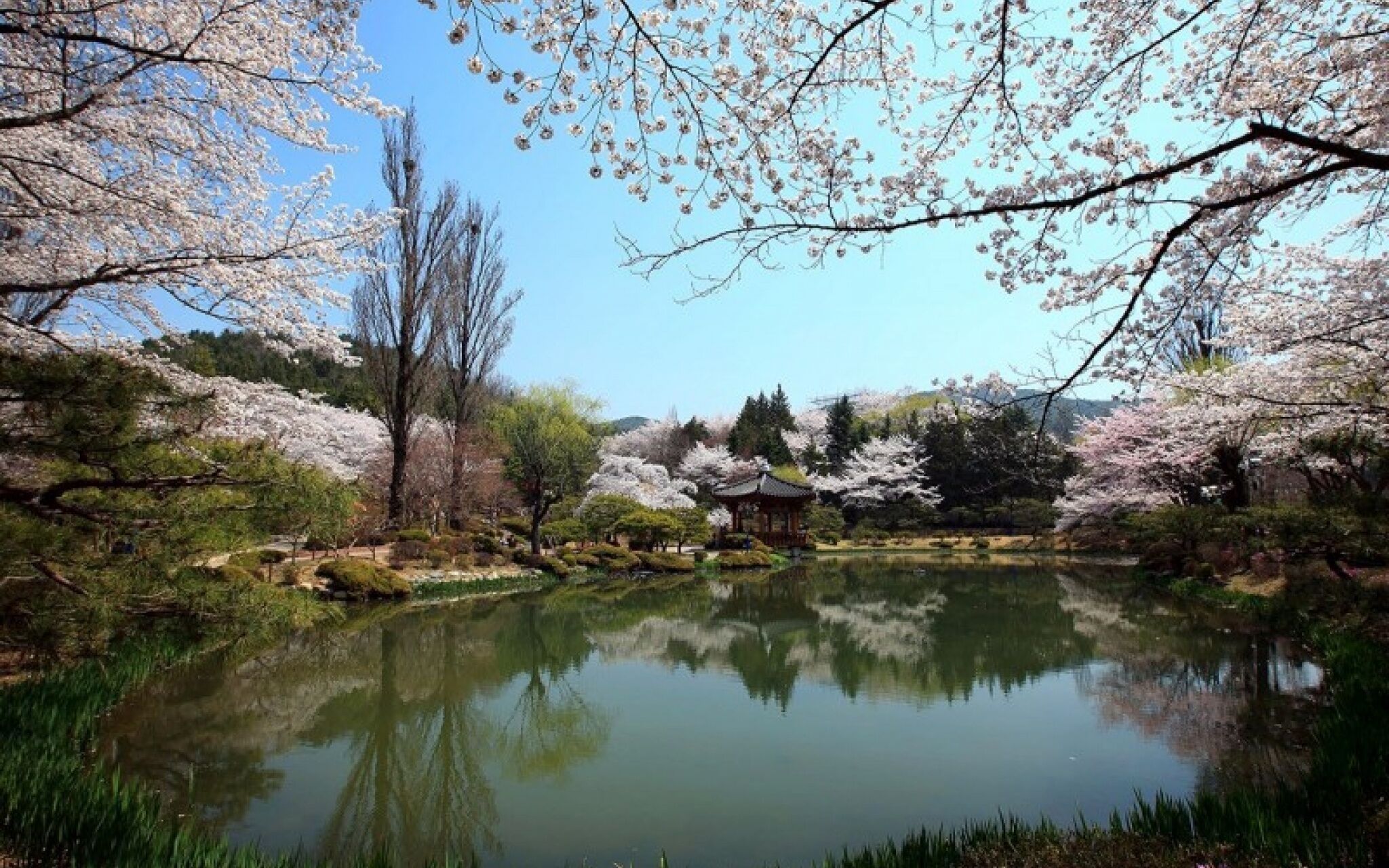Gyeongju The Joeun Pension
