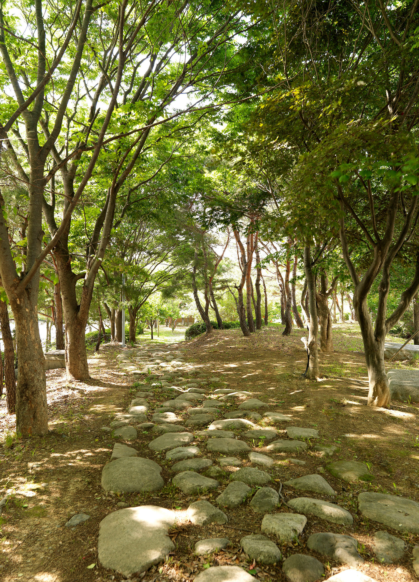The-K Hotel Gyeongju