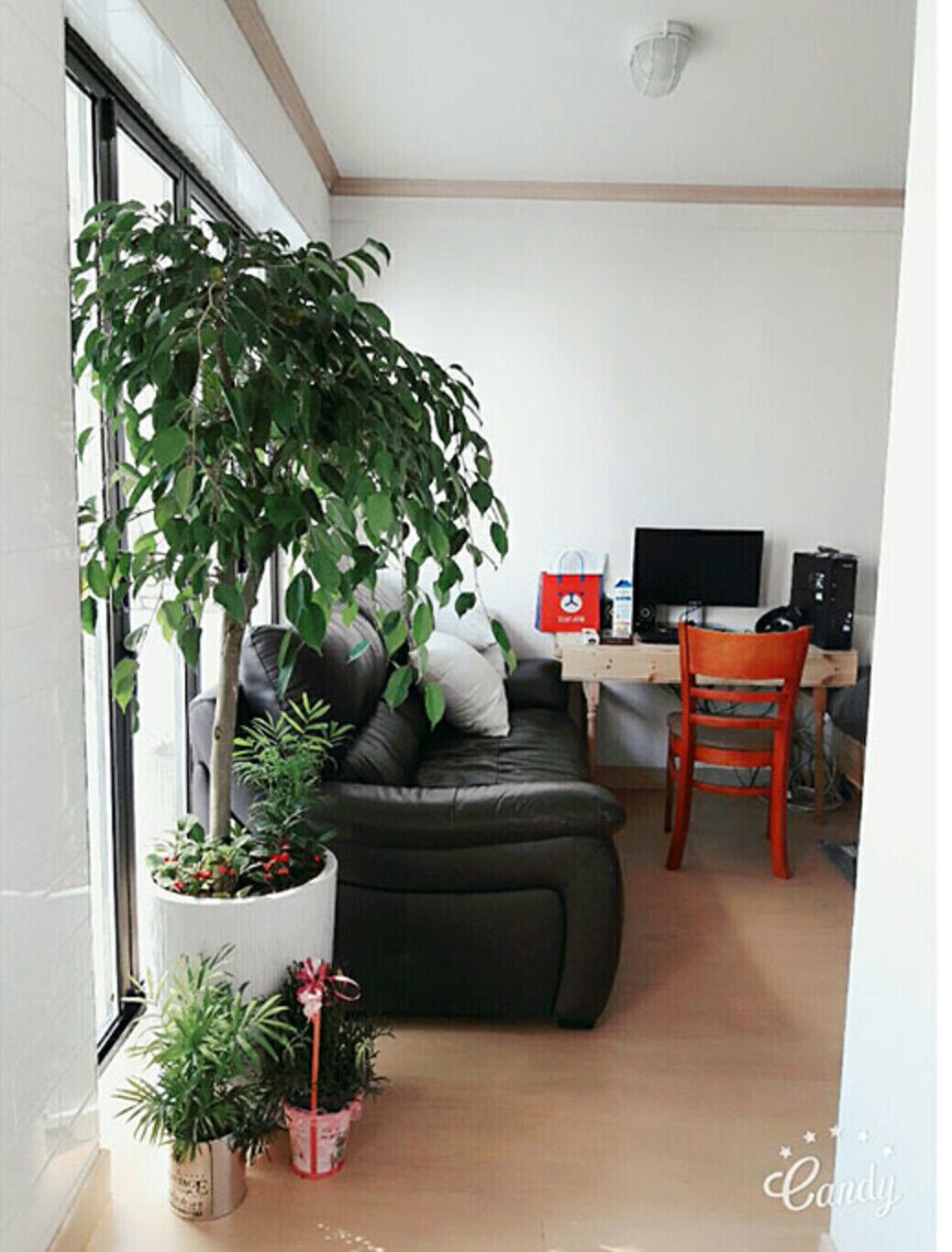 Sudabang Guesthouse - Hostel