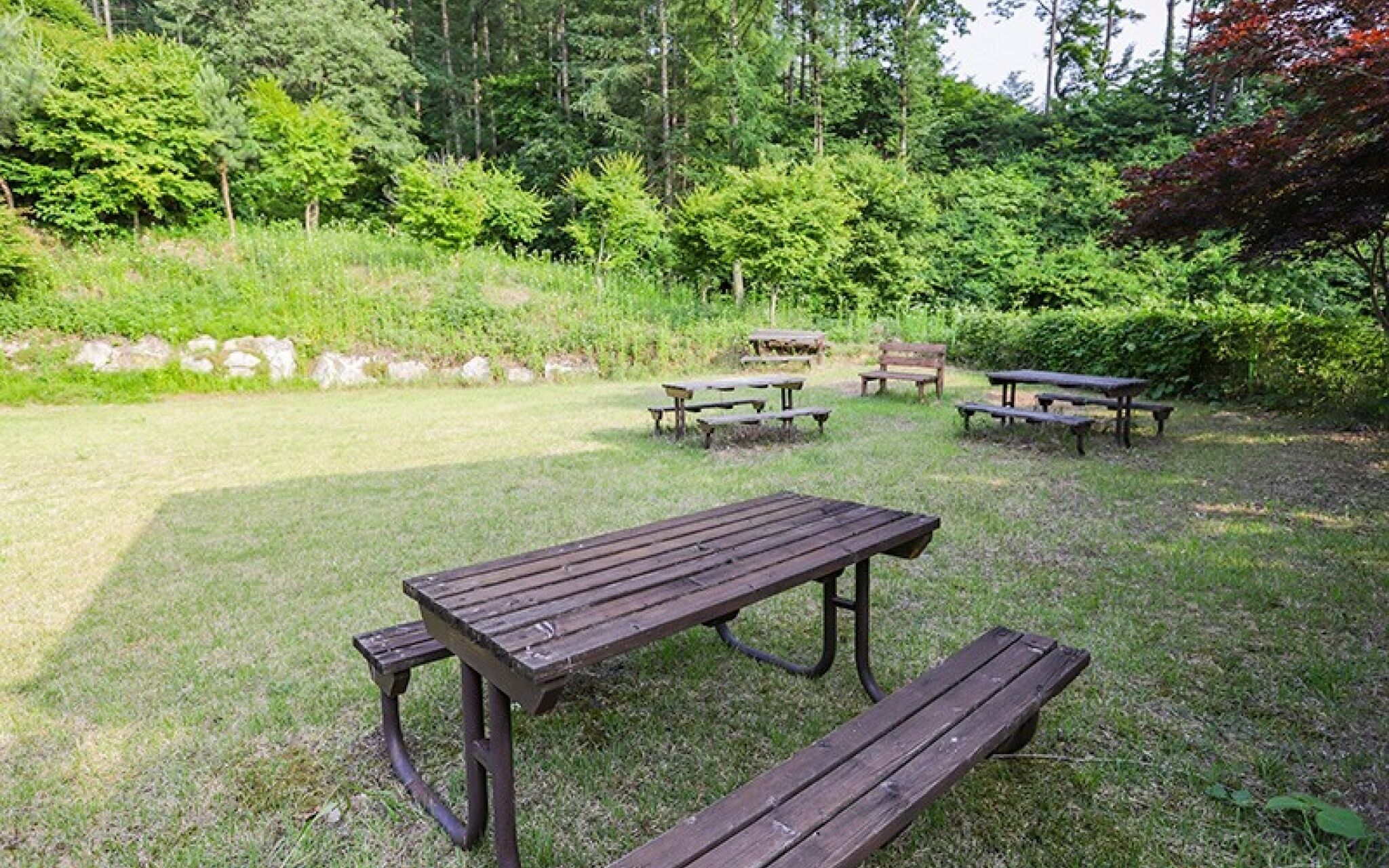 Muju Bandi Pension