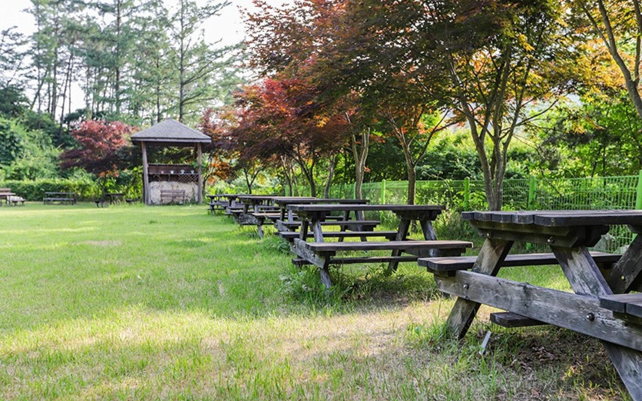 Muju Bandi Pension