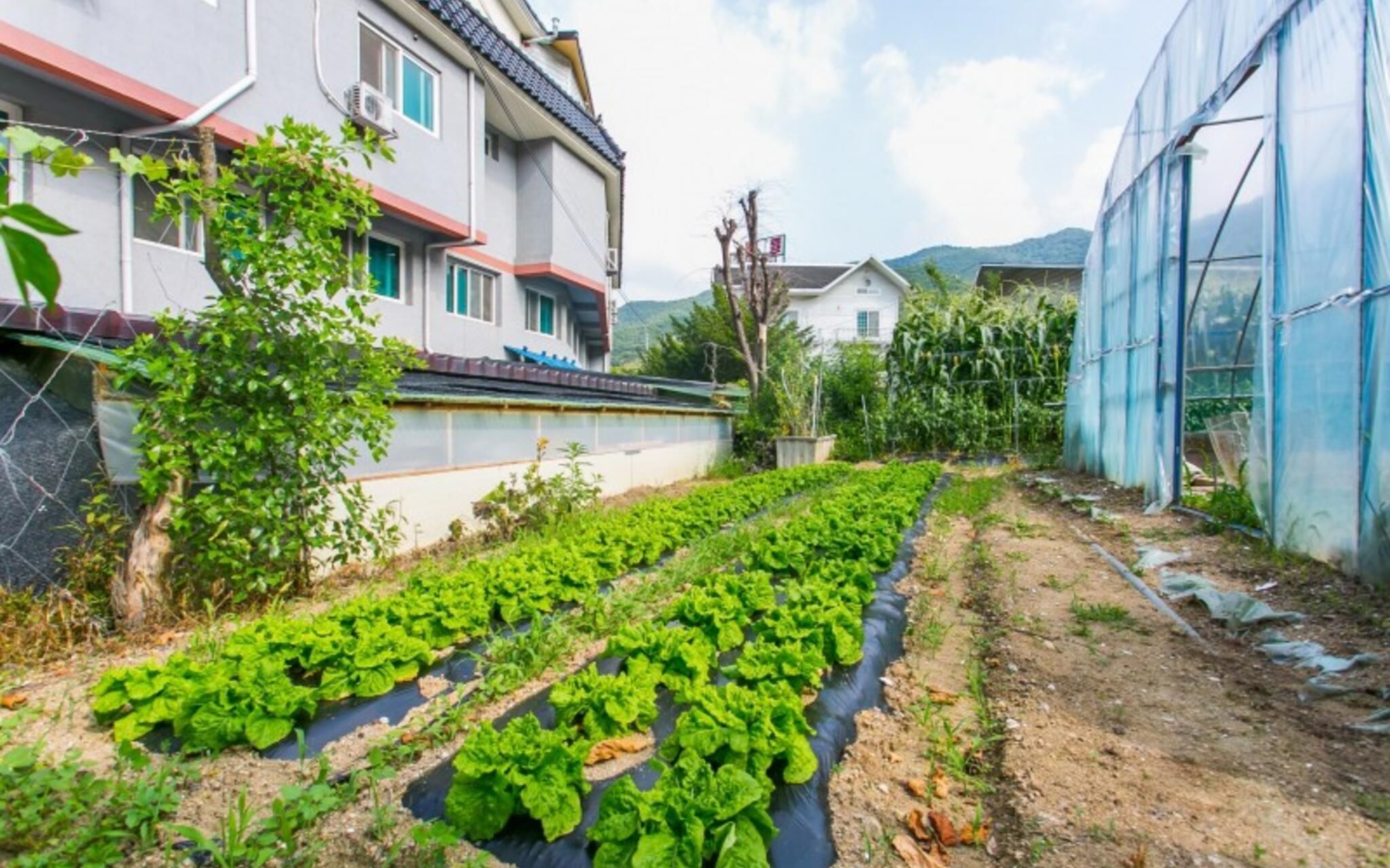 Muju Rainbow Pension
