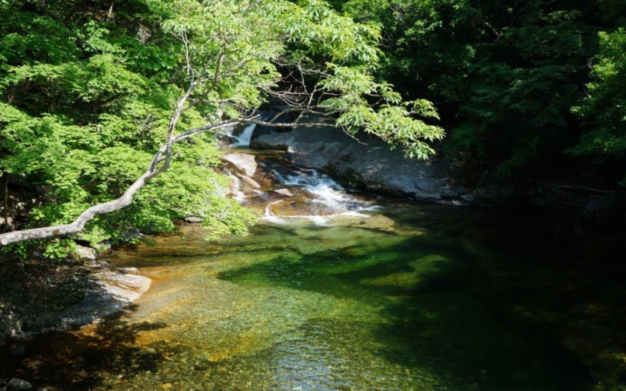 Muju Seolguk Pension