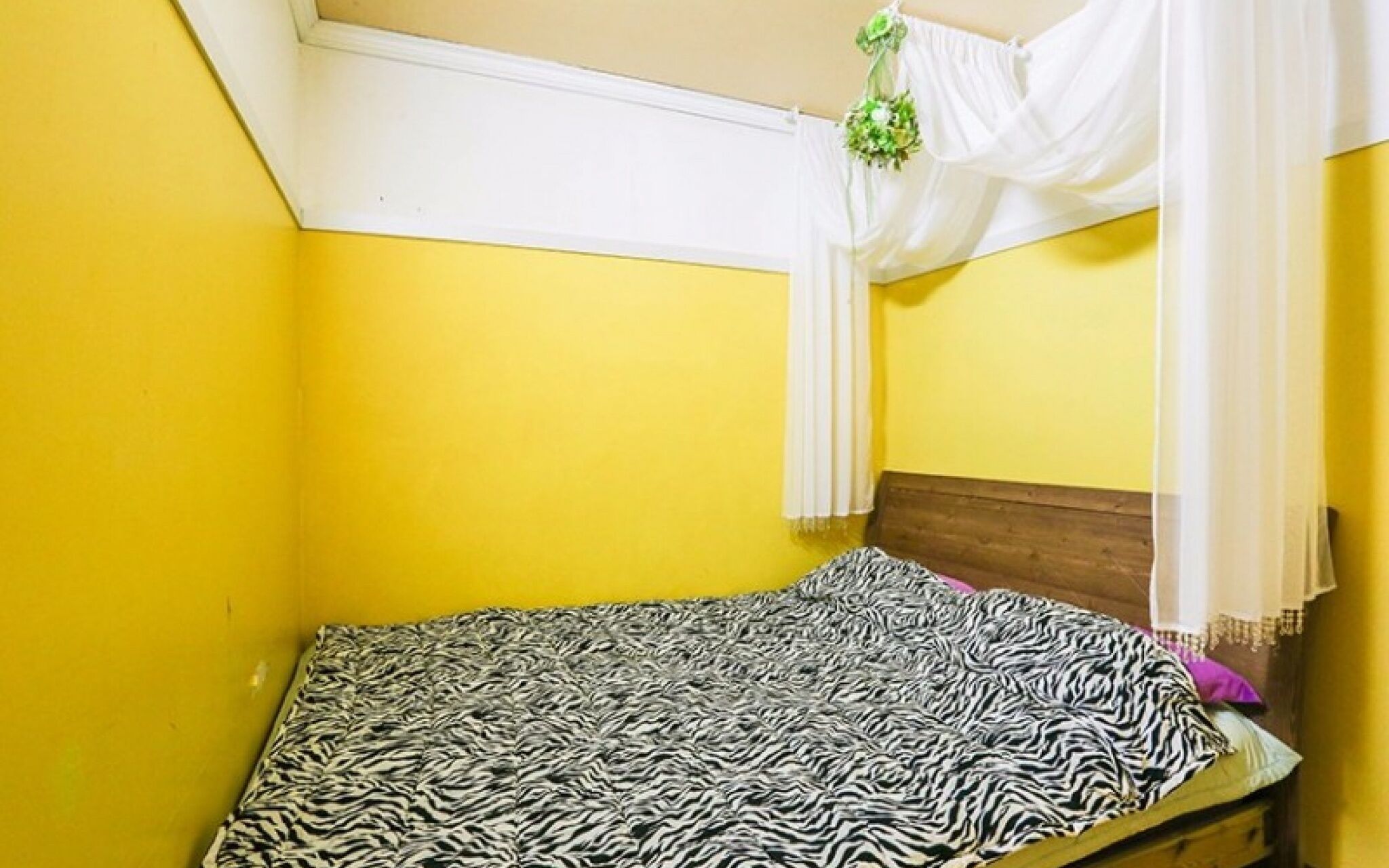 Muju Snowflower Travel Pension