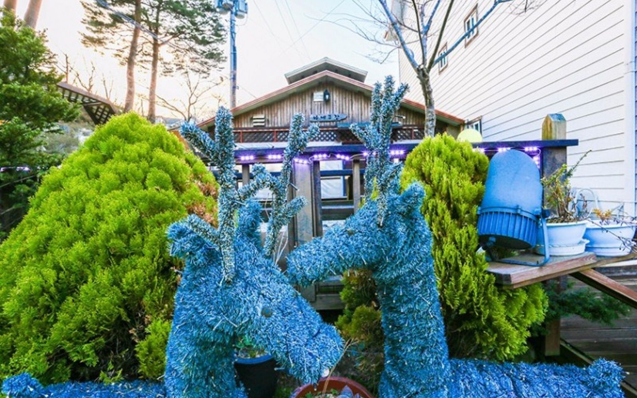 Muju Snowflower Travel Pension