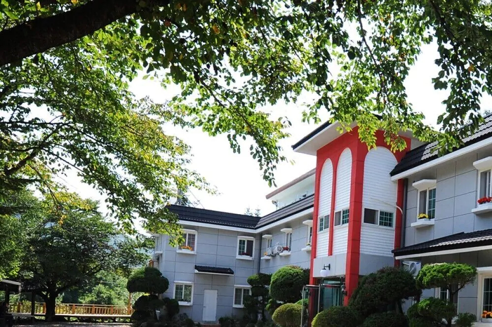 Shiny Town Pension