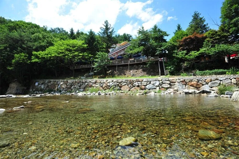 Shiny Town Pension