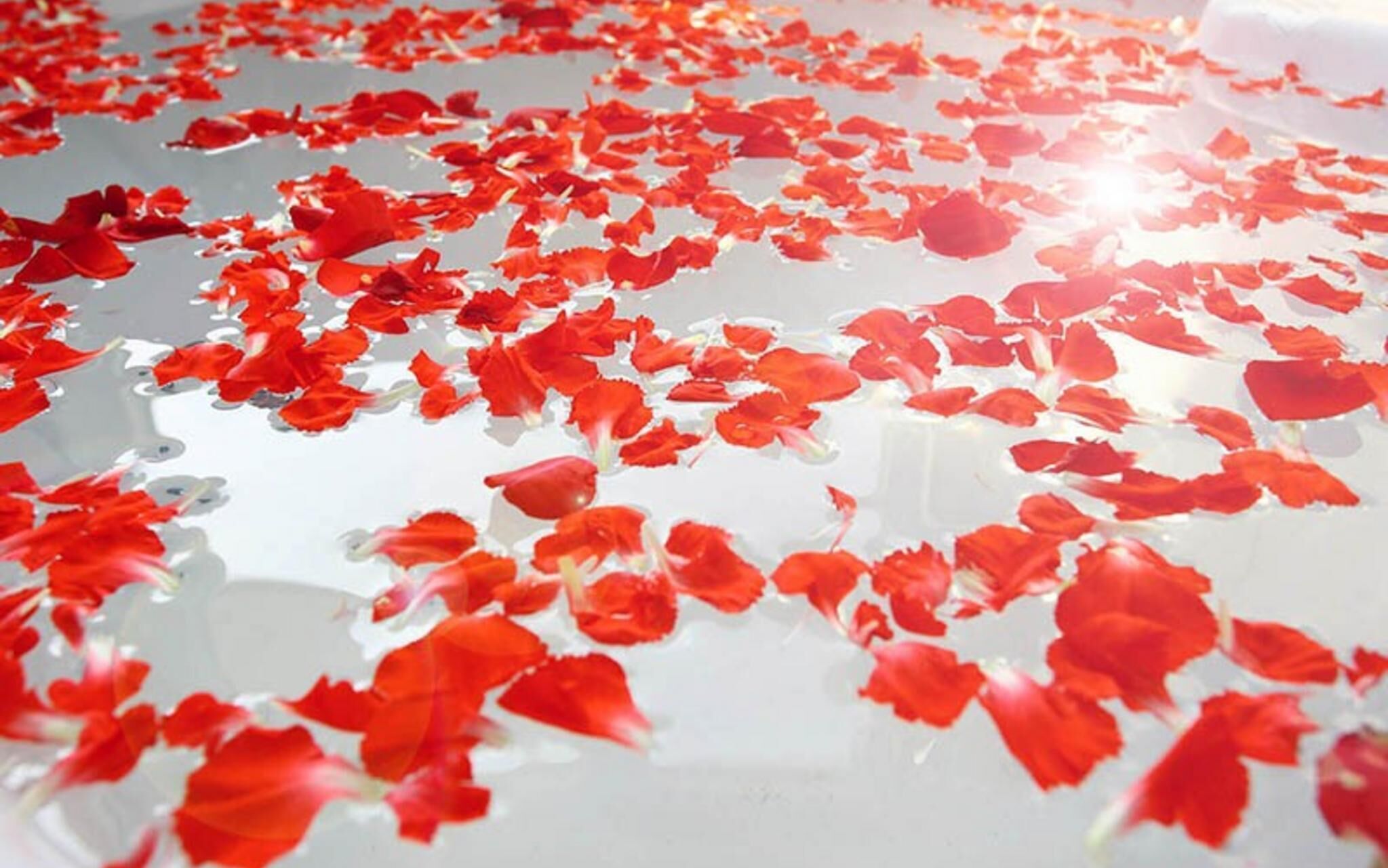 Namhae Casa Mar Pension