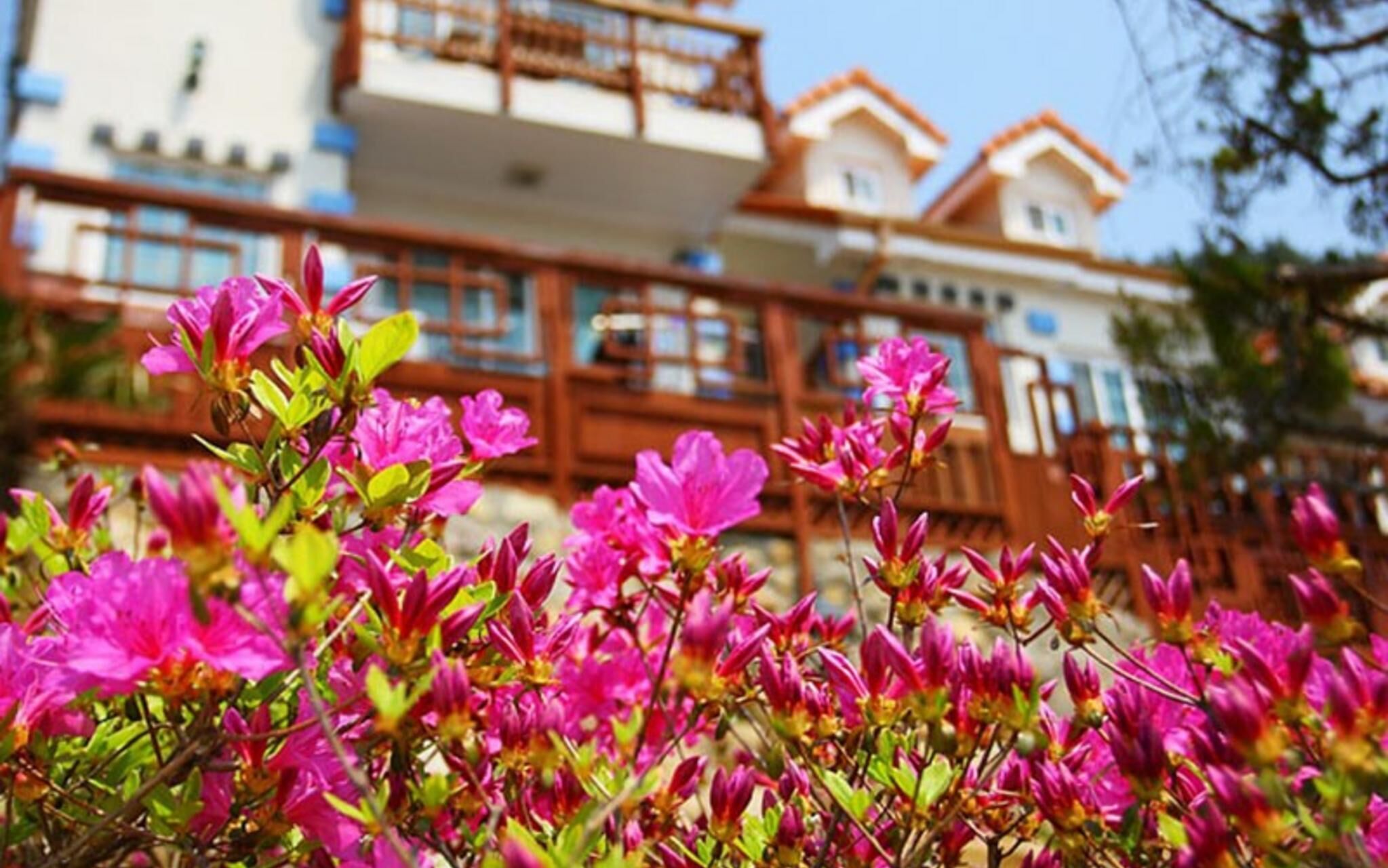 Namhae Casa Mar Pension