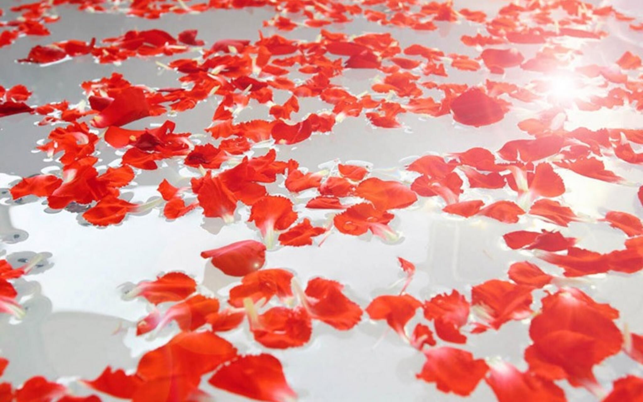 Namhae Casa Mar Pension