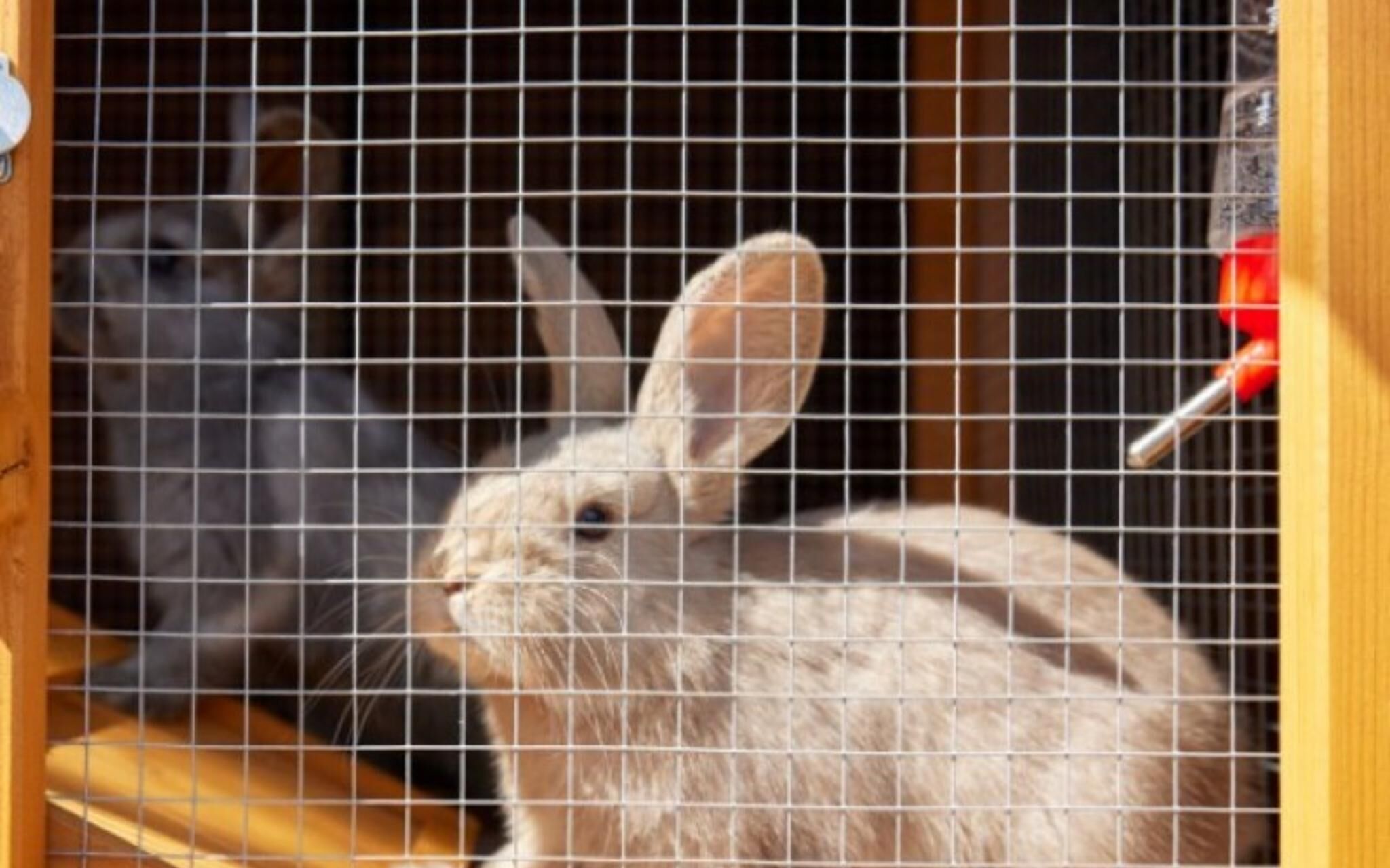 Namhae German Village Hercules Pension