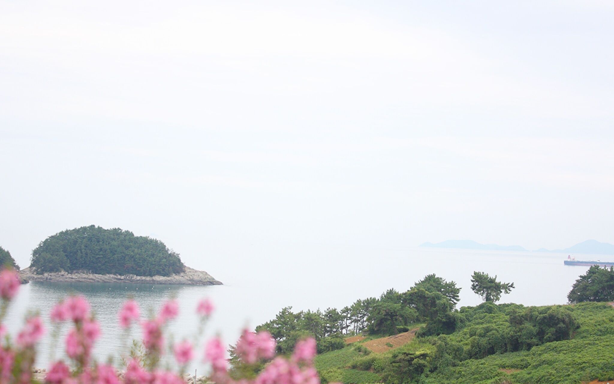 Namhae Guest House Mi