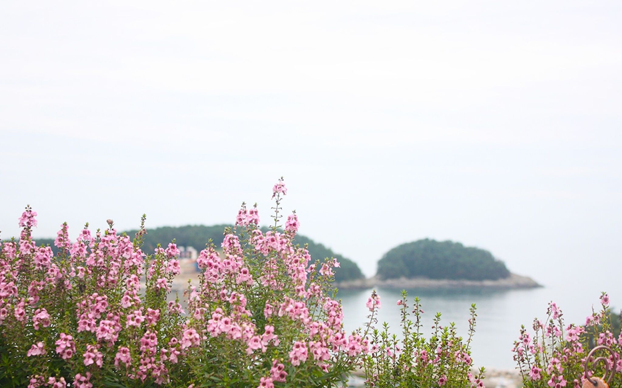 Namhae Guest House Mi