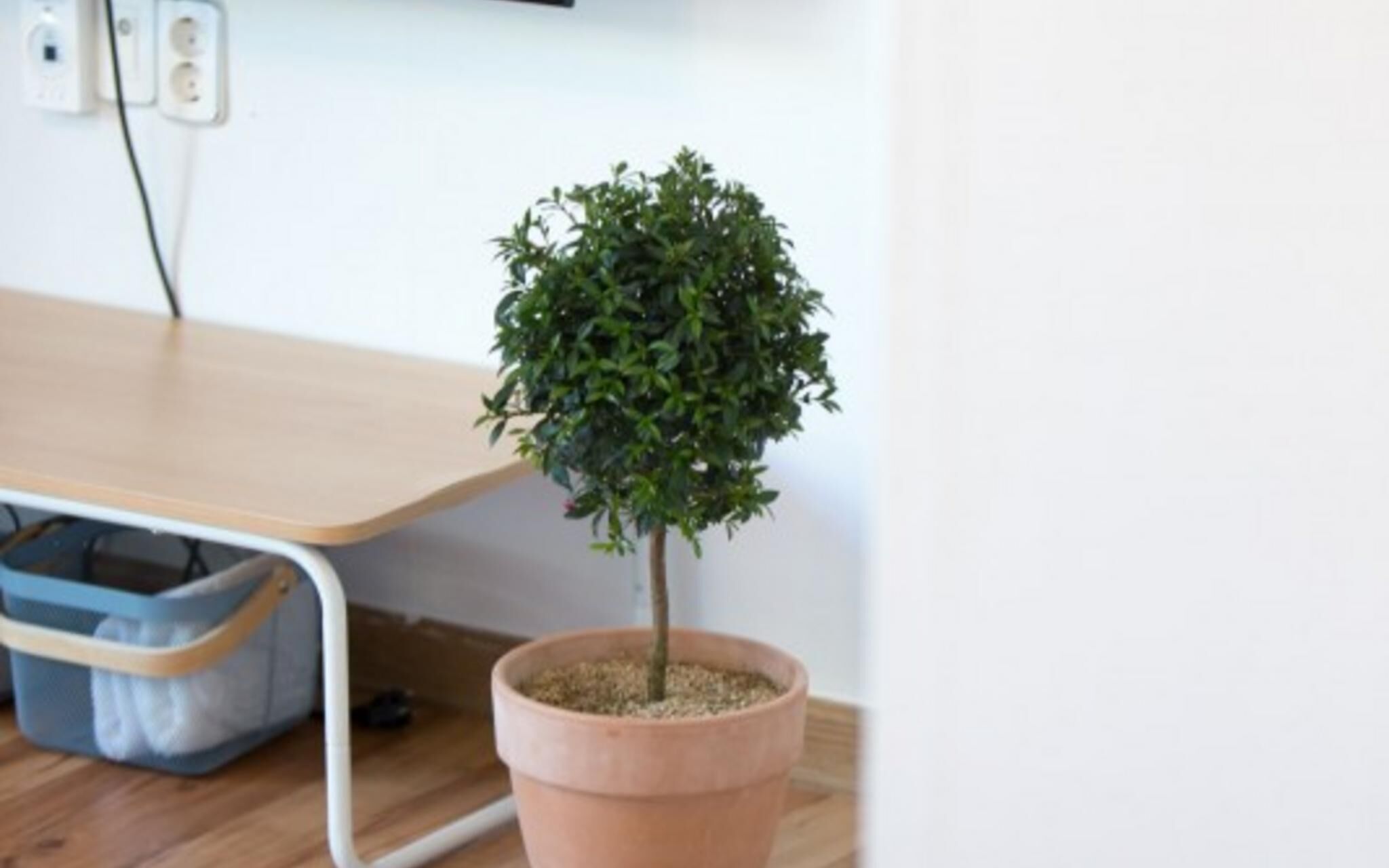 Namhae Molino Pension