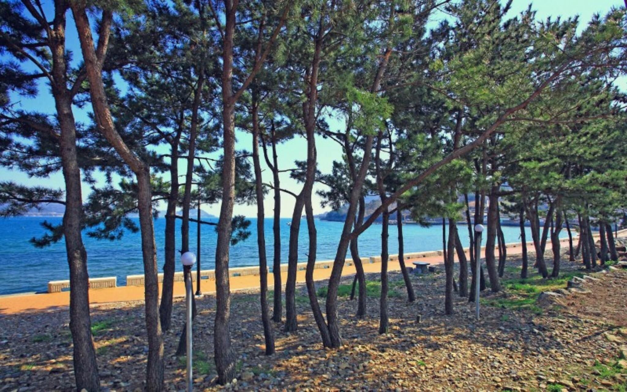 Namhae Wolpo Pension