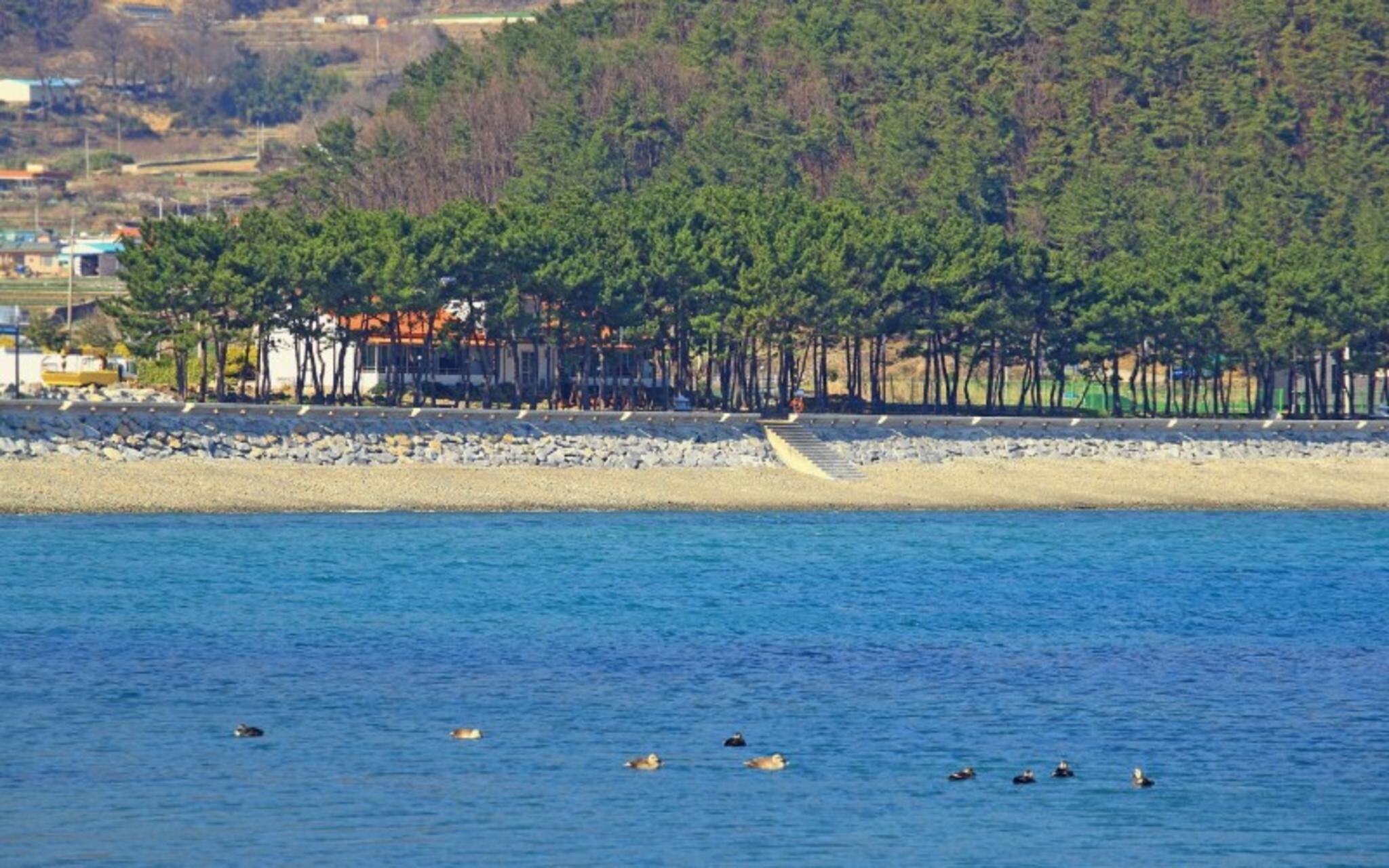 Namhae Wolpo Pension