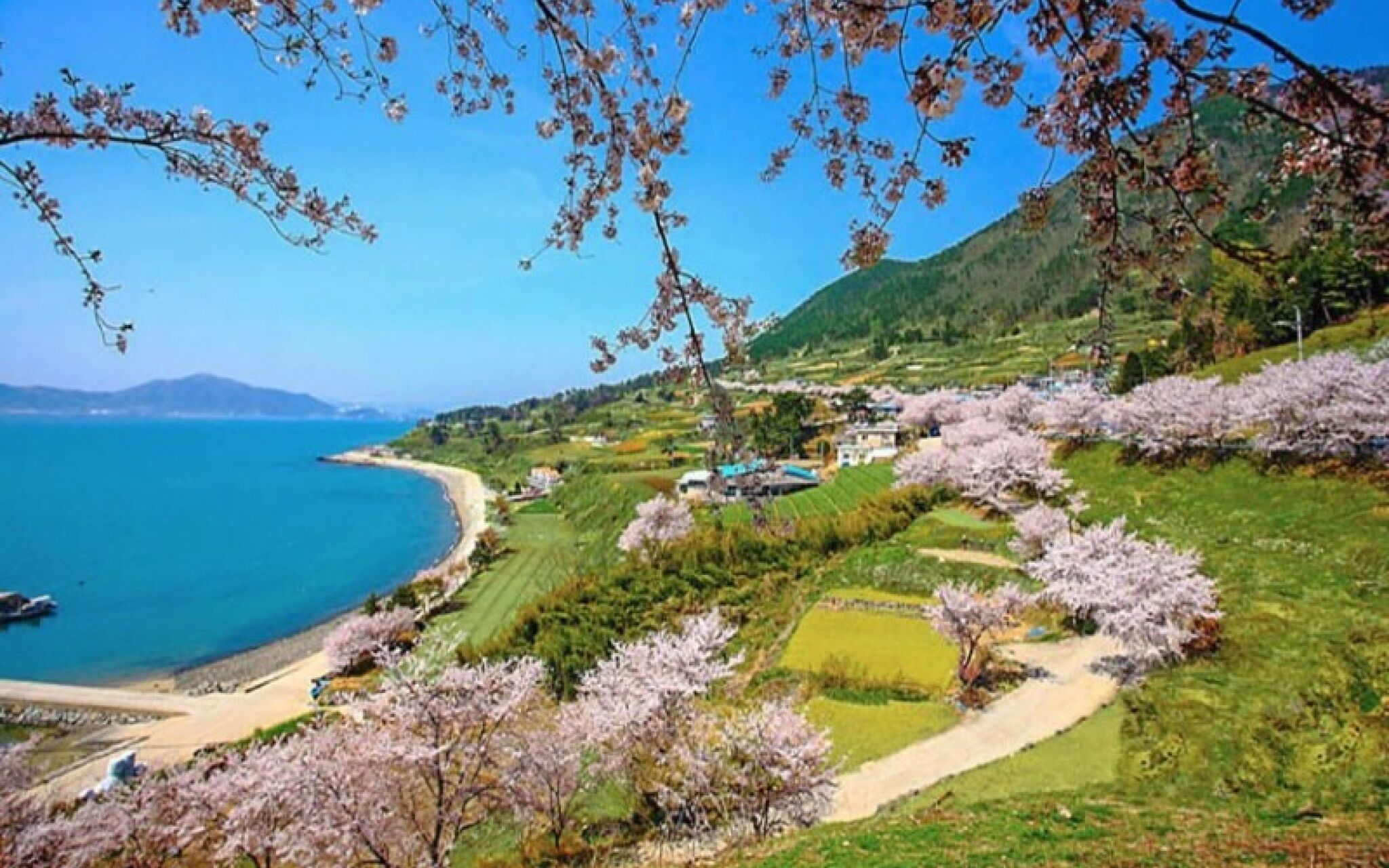 Namhae Zen House Pension