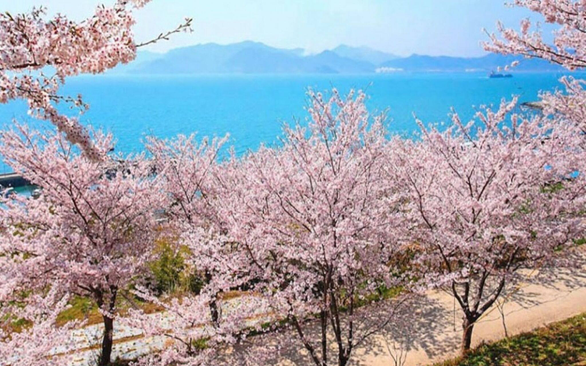 Namhae Zen House Pension