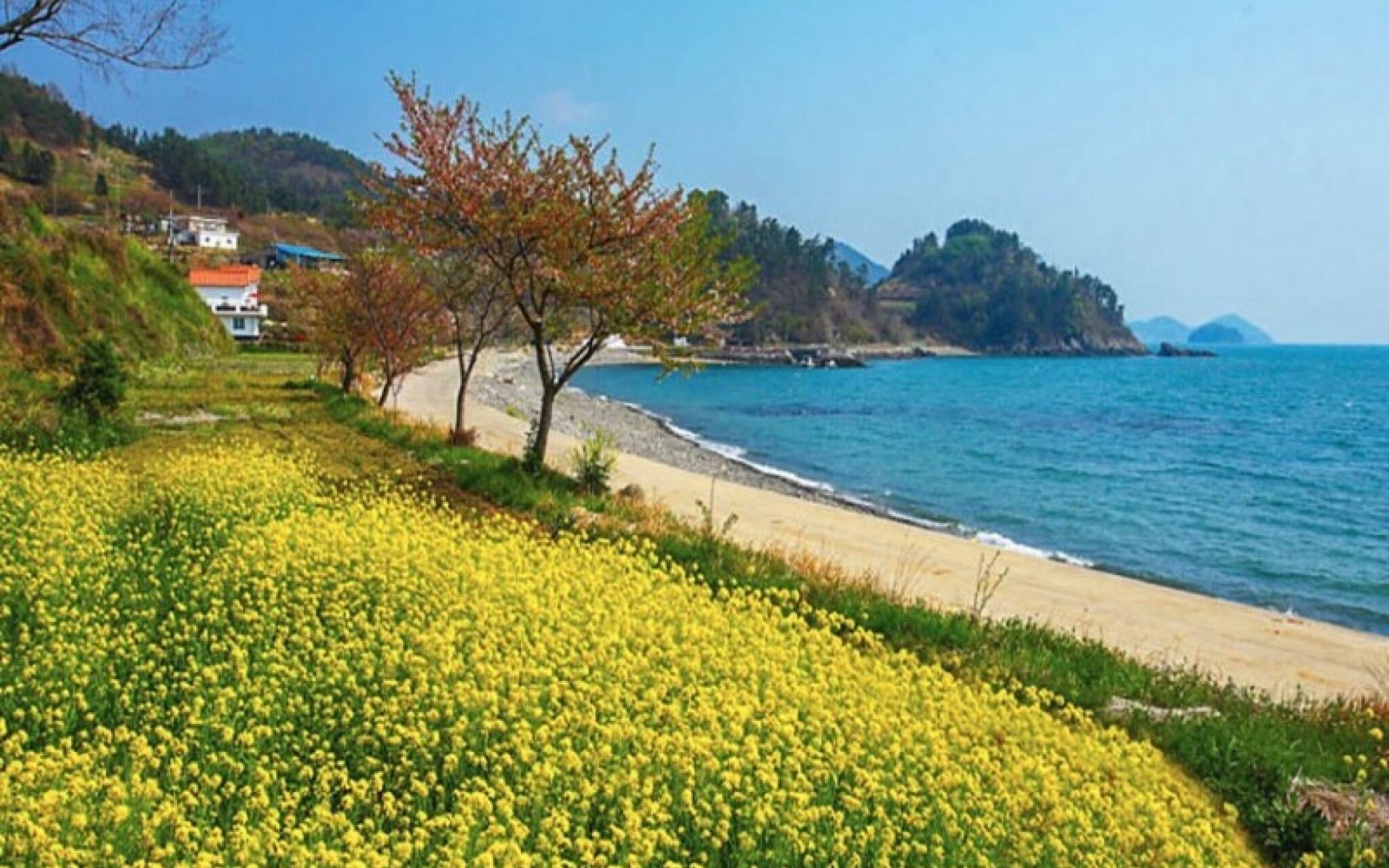 Namhae Zen House Pension