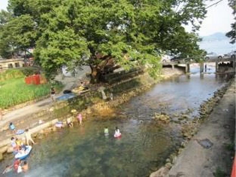 SJ Dongyaroo Resort