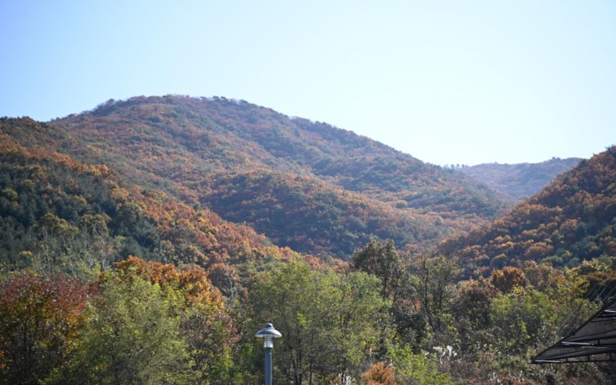Paju Bau Garden Pension