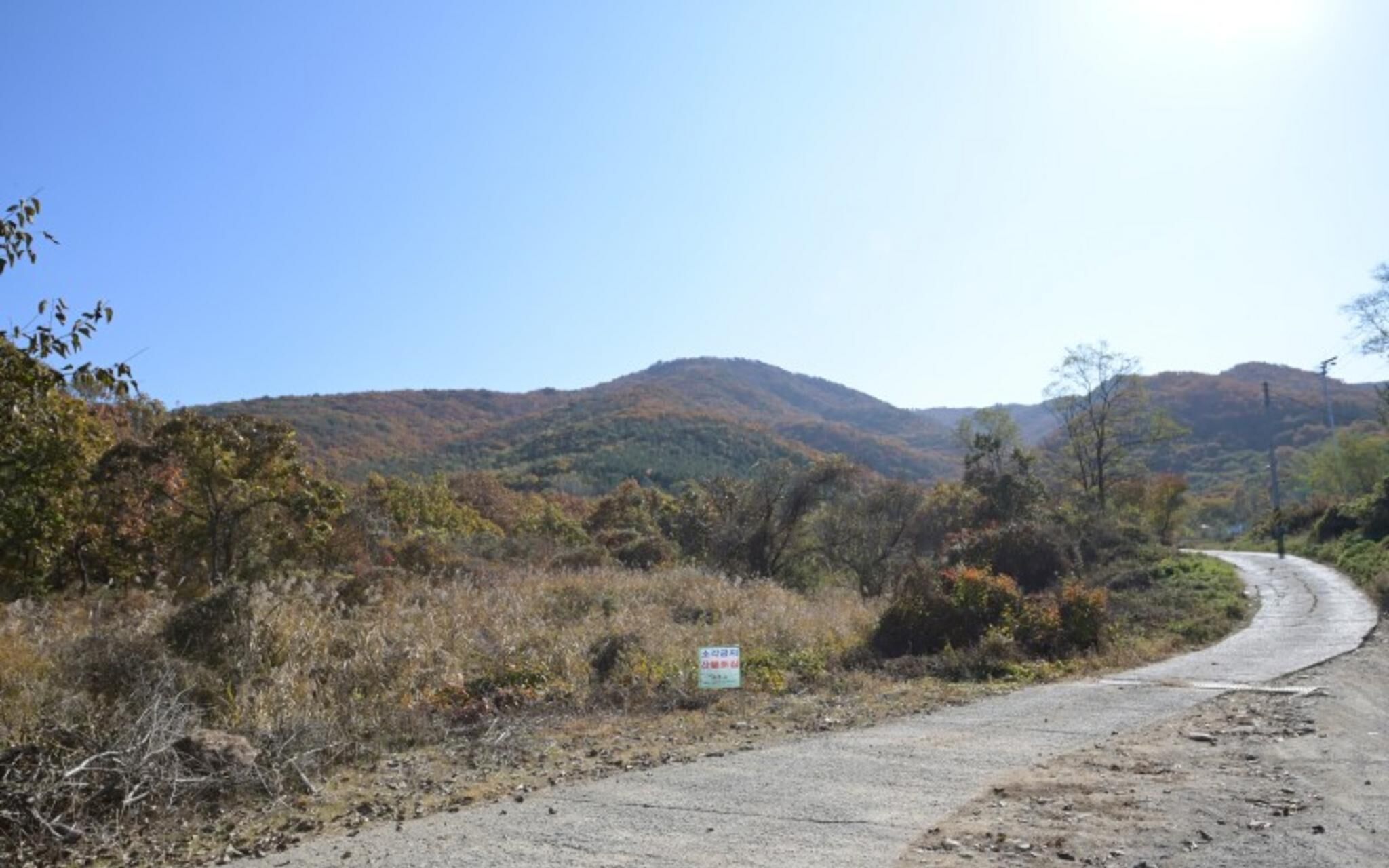 Paju Bau Garden Pension