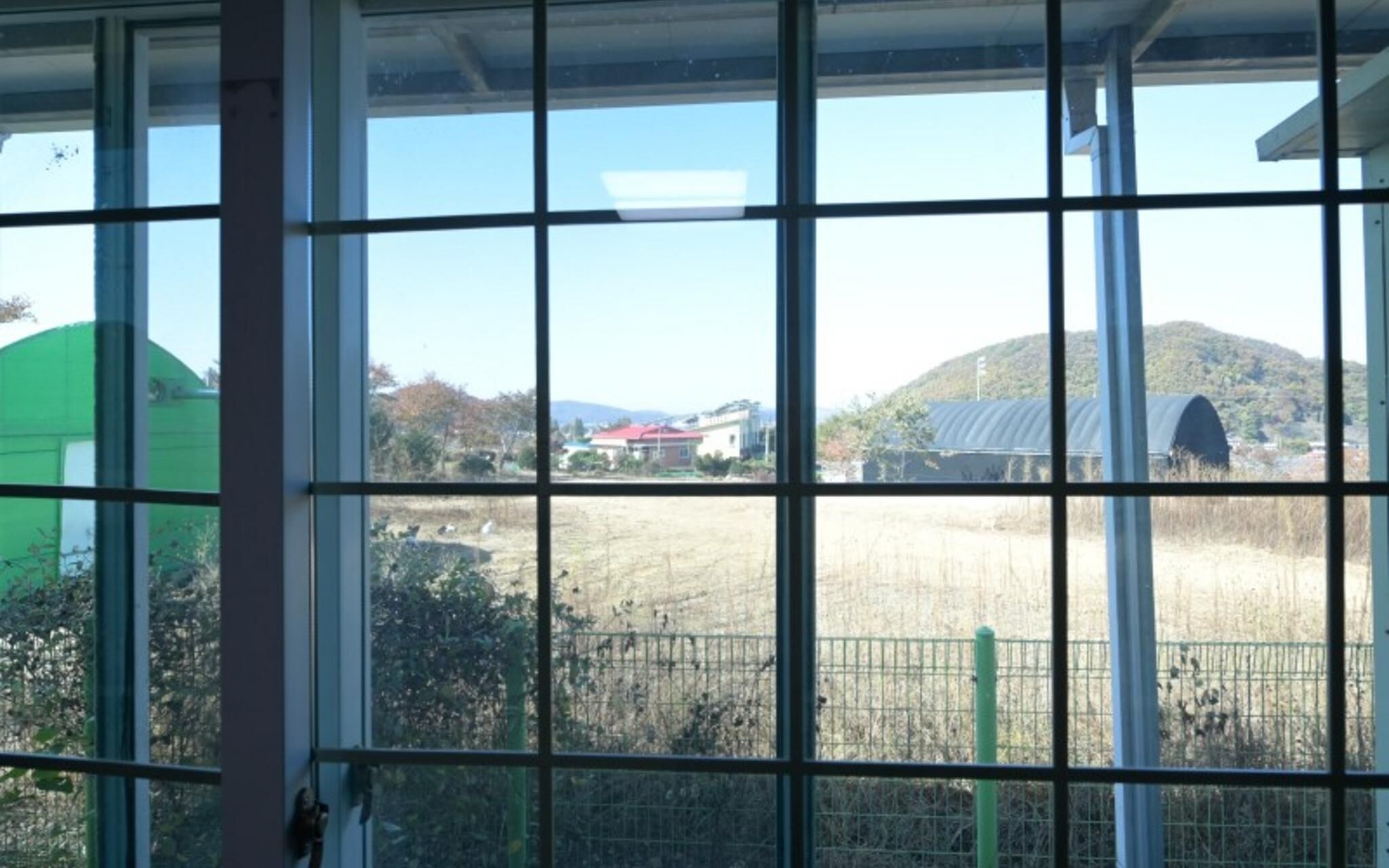 Paju Bau Garden Pension