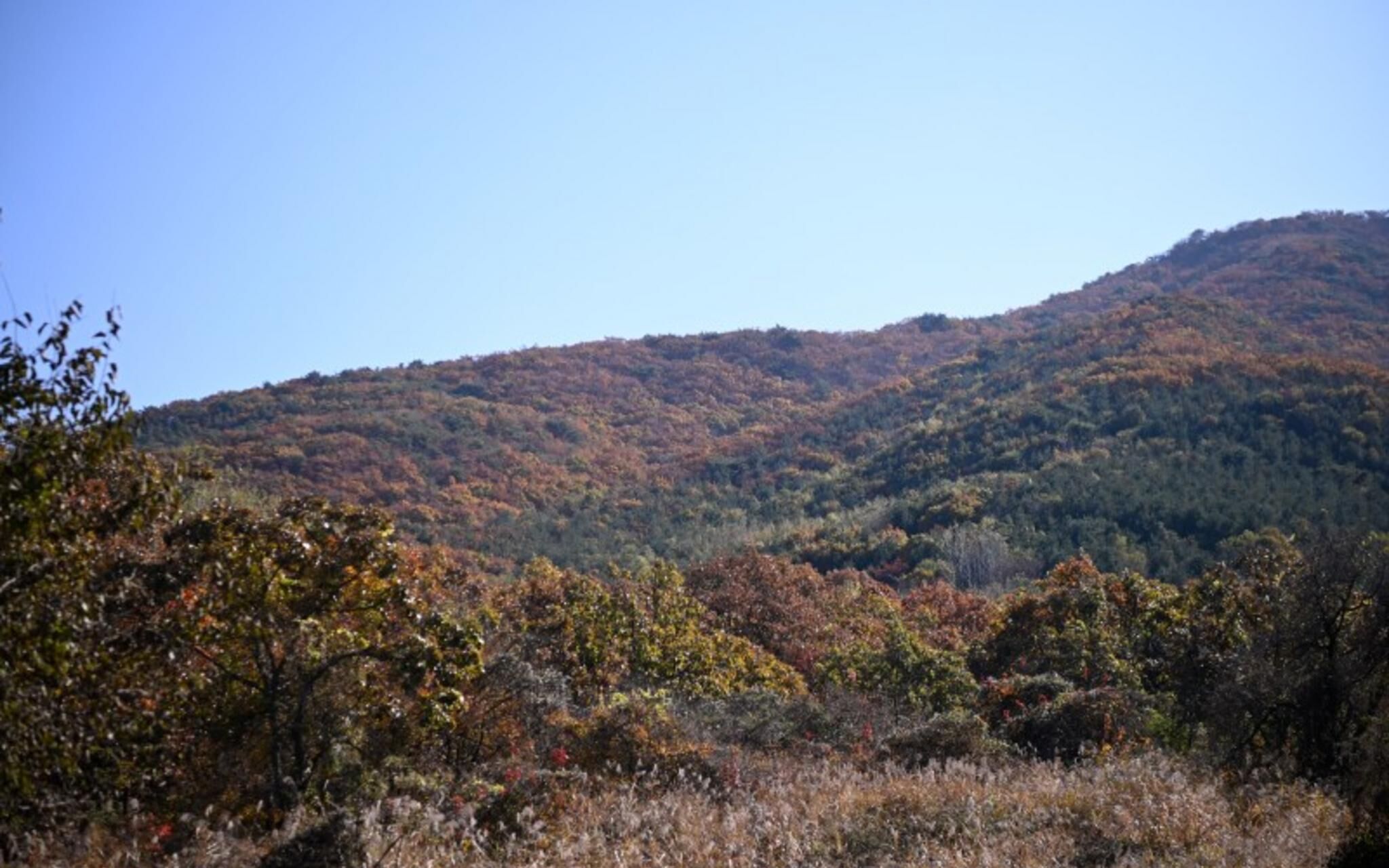 Paju Bau Garden Pension