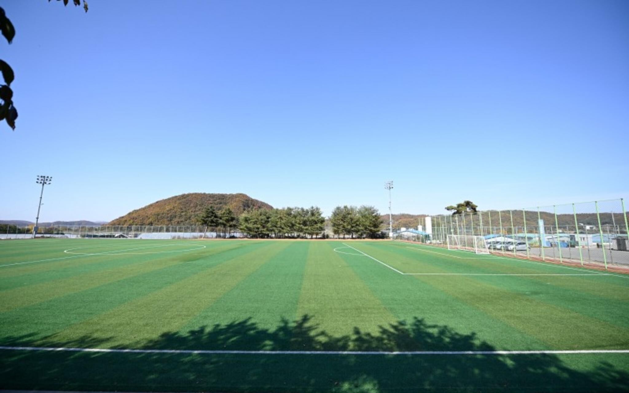 Paju Bau Garden Pension