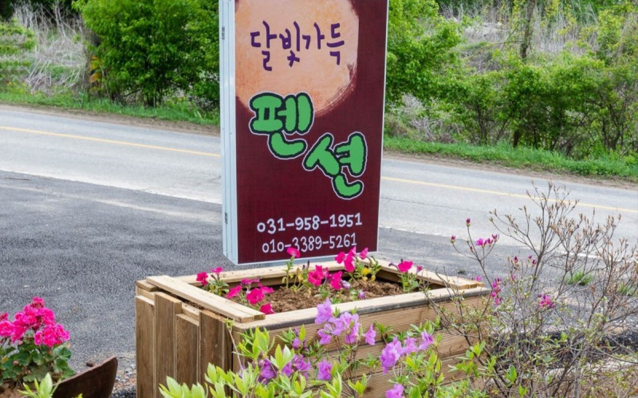 Paju Dalbitgadeuk Pension