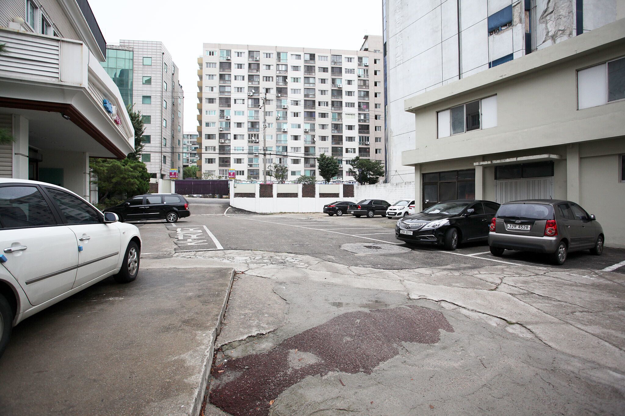 Paju Geumchon Equus