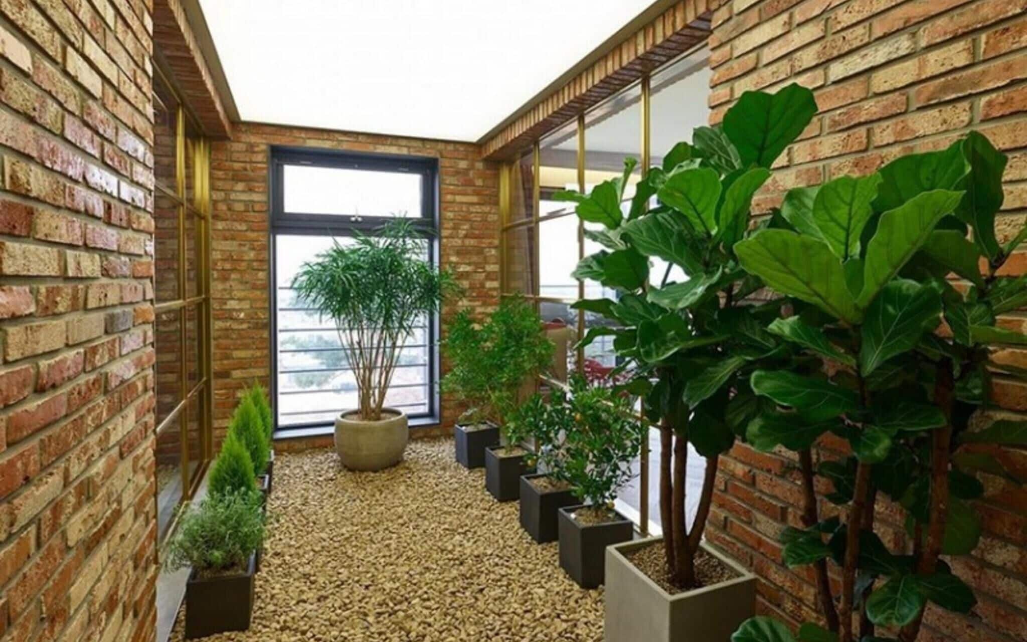 Paju Liberte Pension