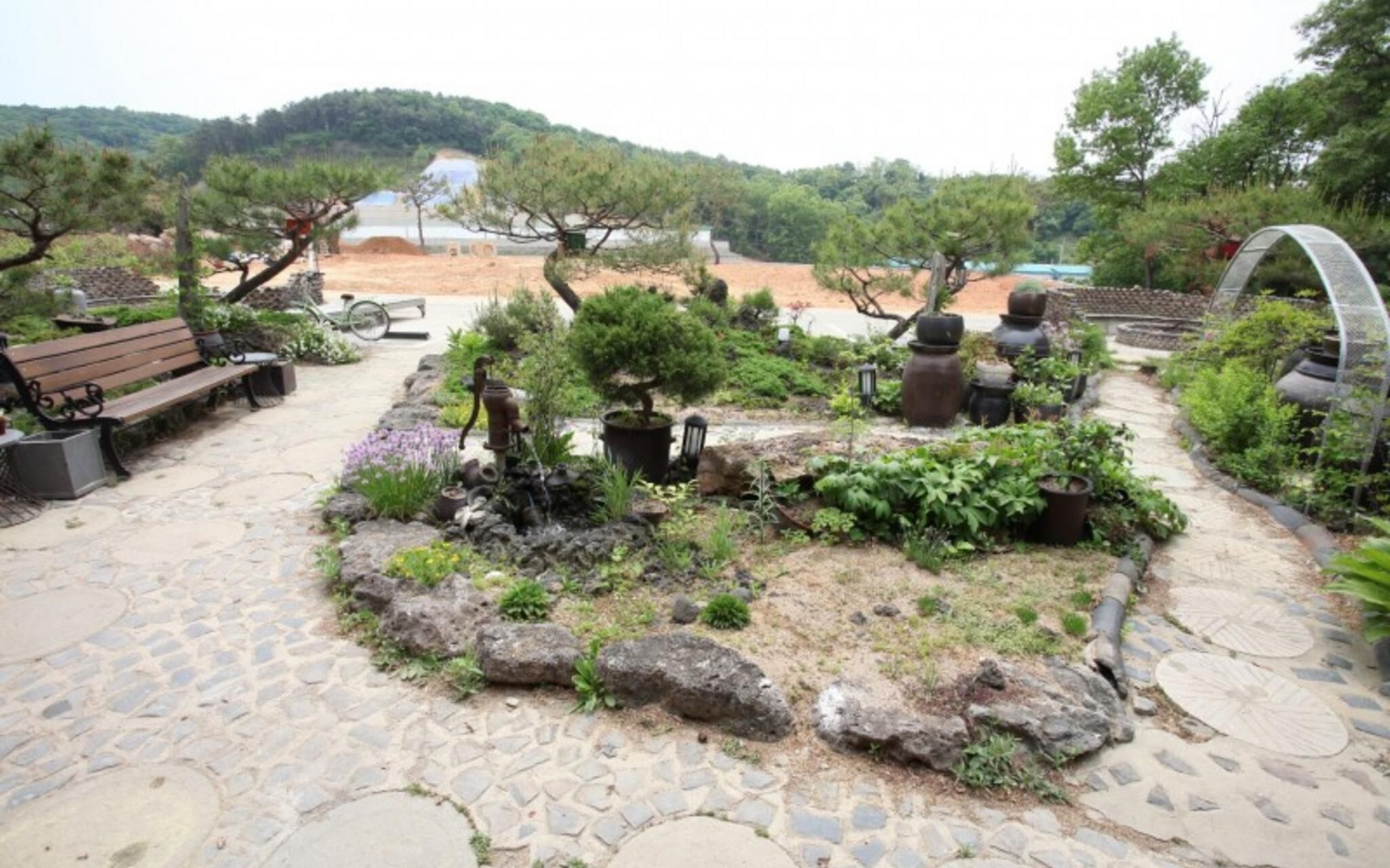 Paju Terra Pension
