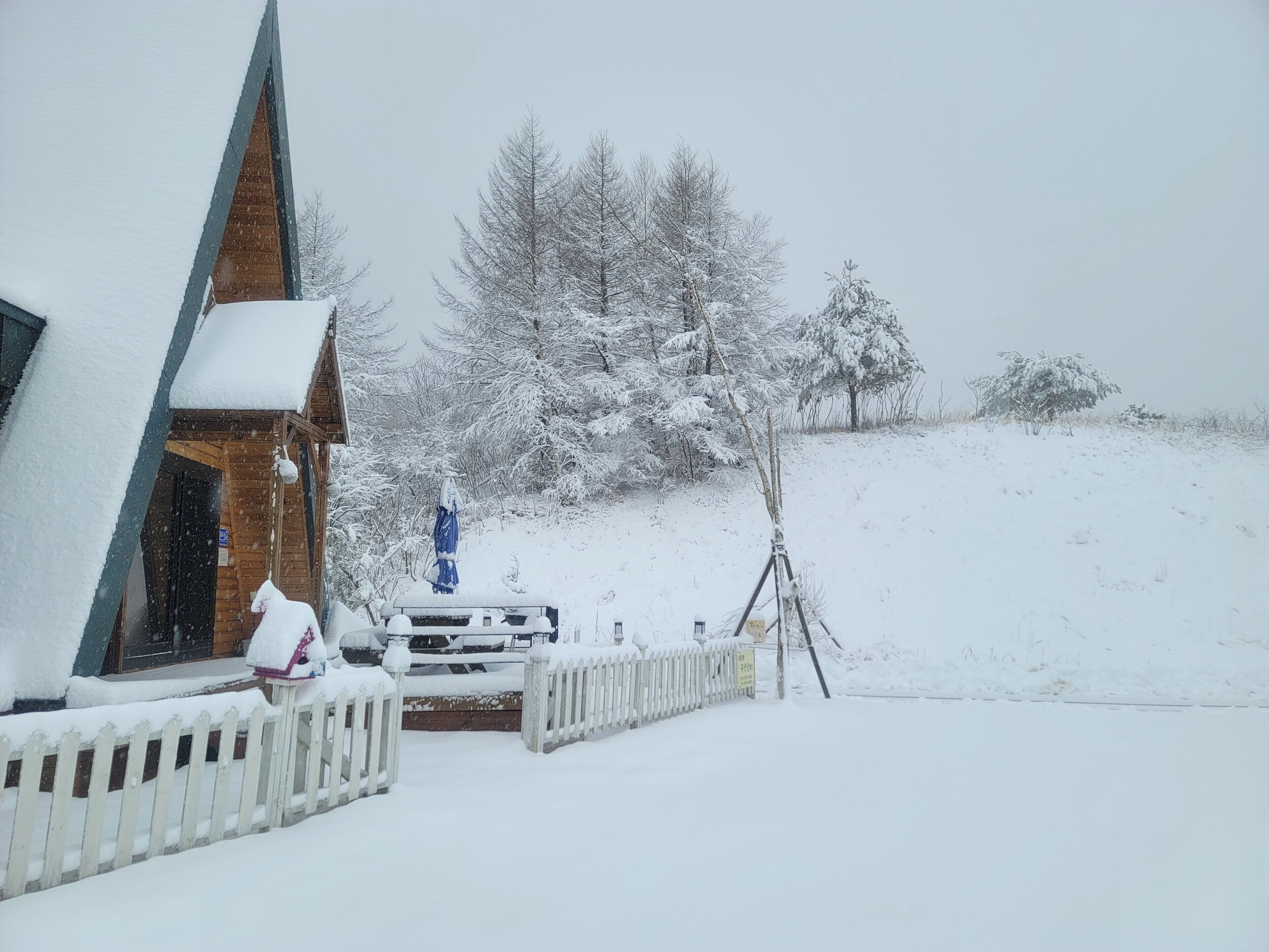 Daegwallyeong Sheep Village Pension