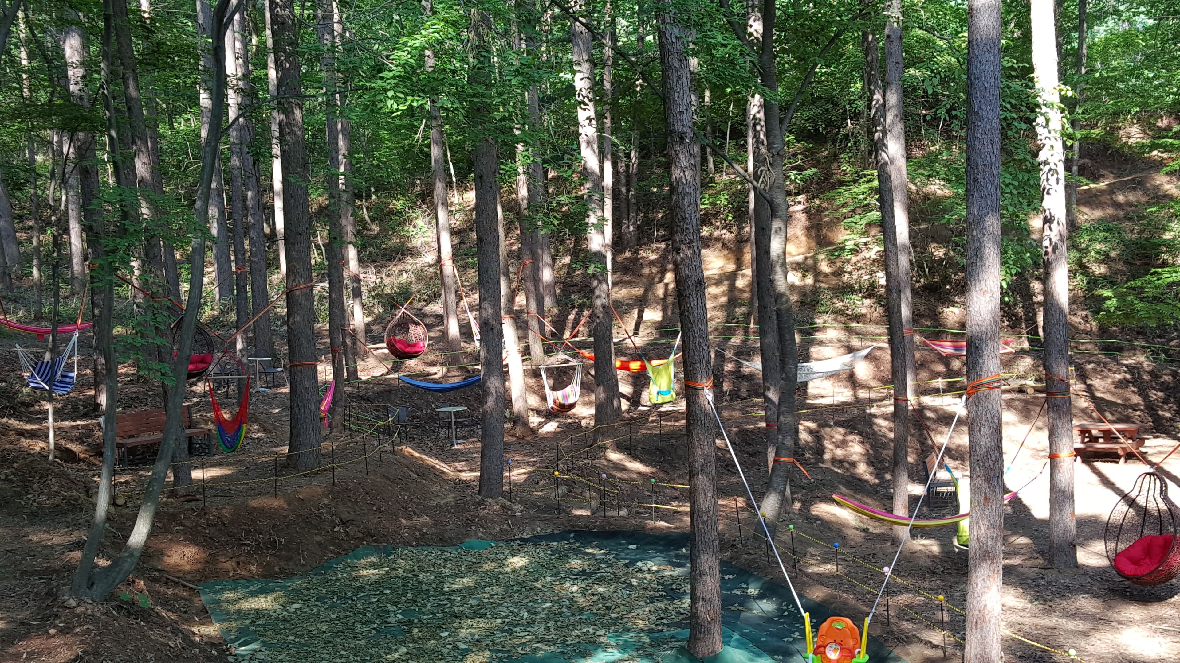 Goodstay Elf Spa Resort