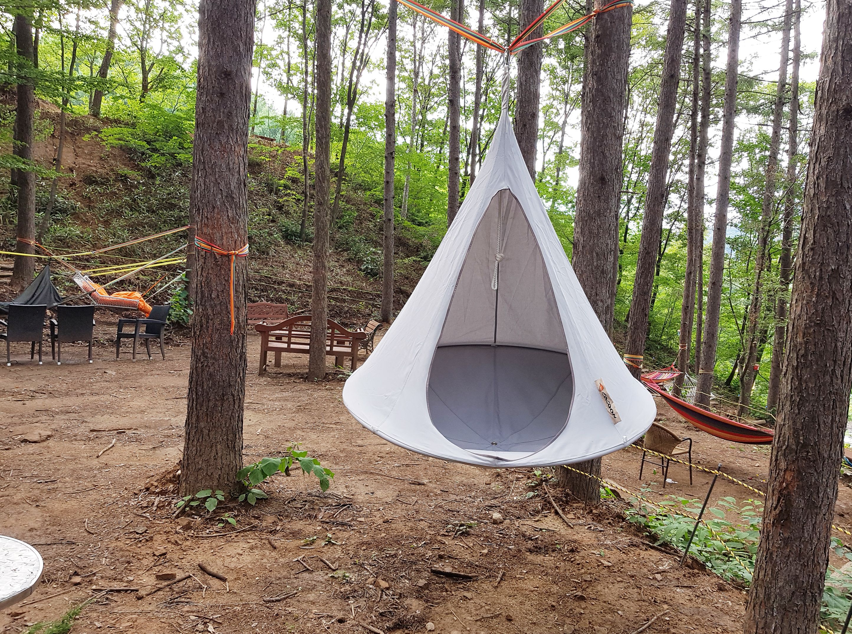 Goodstay Elf Spa Resort