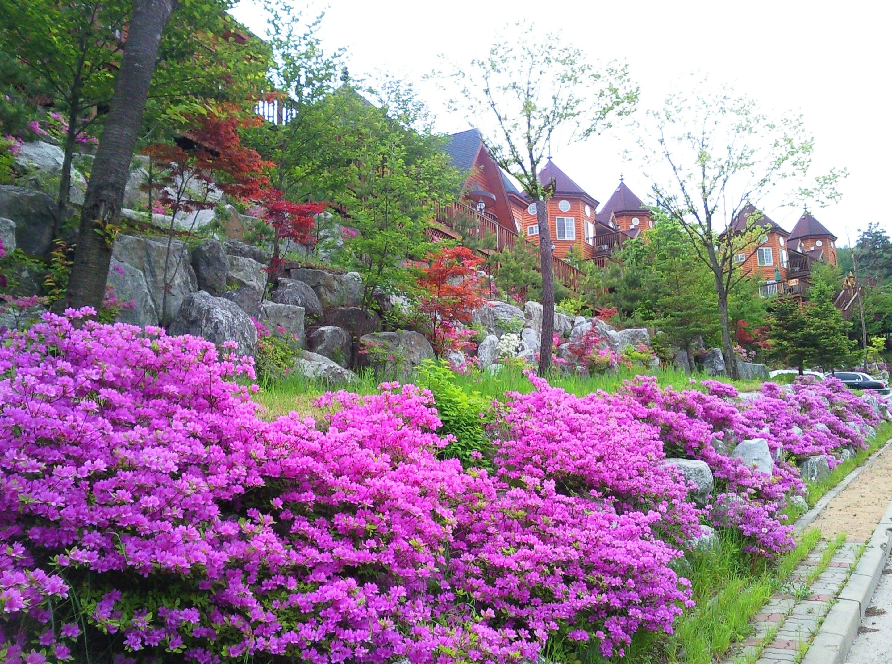 Goodstay Elf Spa Resort