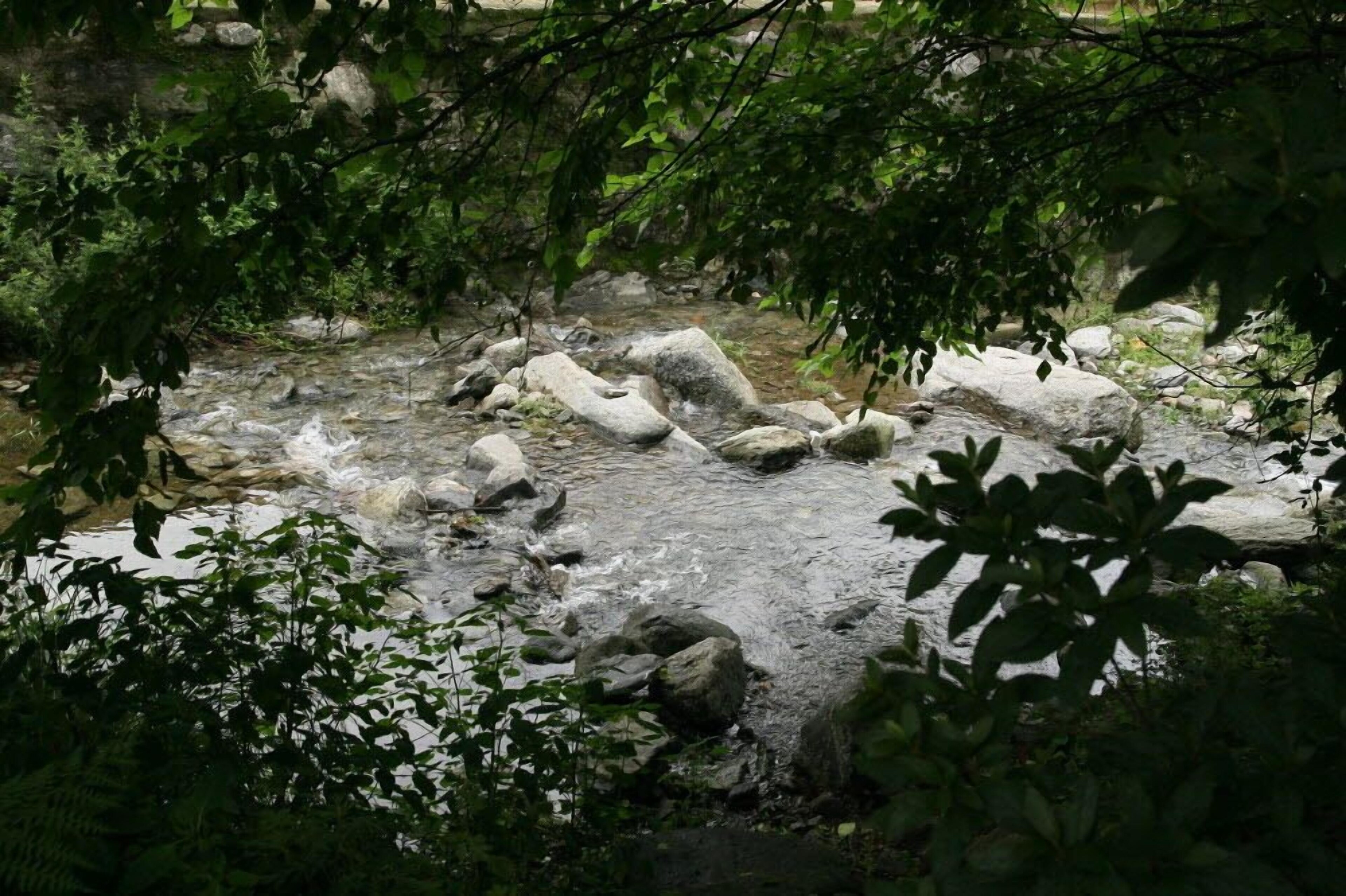 Hamchorom Pension