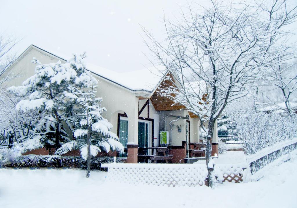 Hyundai Village Resort Pyeongchang