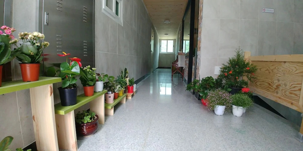 Odae Mountain Healing Town-Silver light